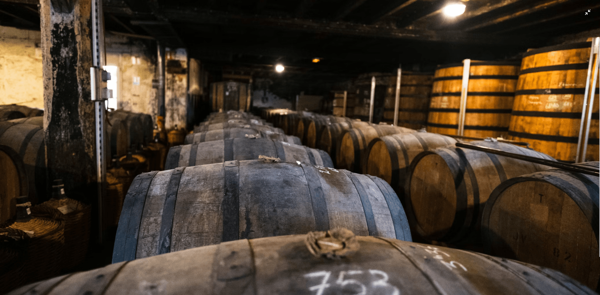 comment conserver ses vins dans les meilleures conditions
