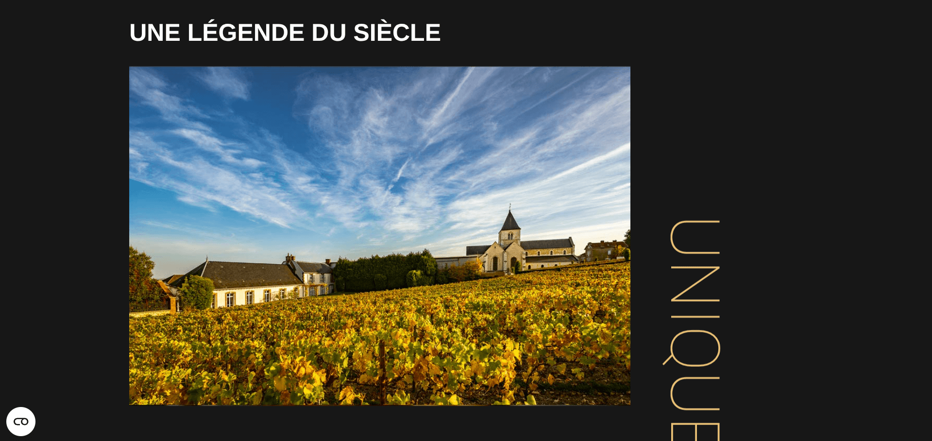 Bouteille de Champagne Salon Cuvée S sur fond de vignes au Mesnil-sur-Oger